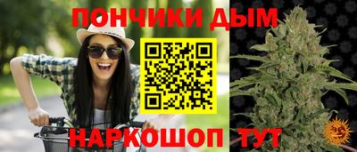 не бодяженный Сланцы