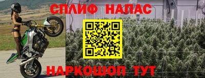 мдпв Славянск-на-Кубани