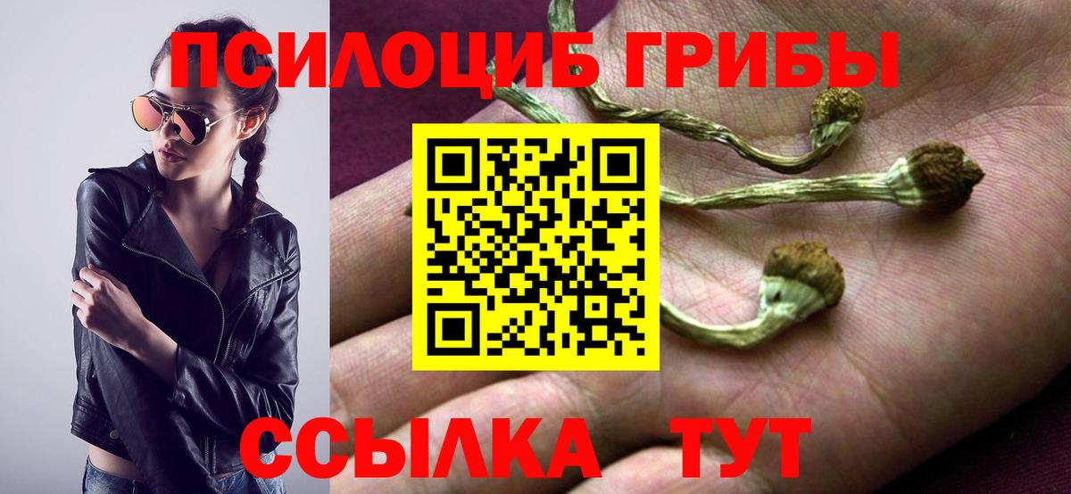 даркнет сайт  Псилоцибиновые грибы Magic Shrooms  Вход с VPN  Норильск  Галлюциногенные грибы MAGIC MUSHROOMS 