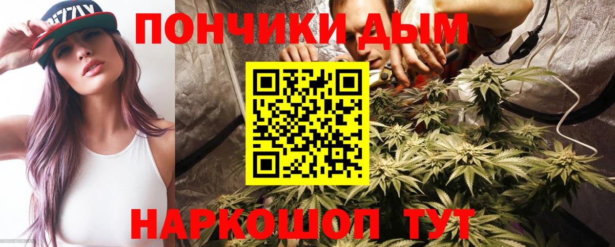 Конопля гибрид Норильск
